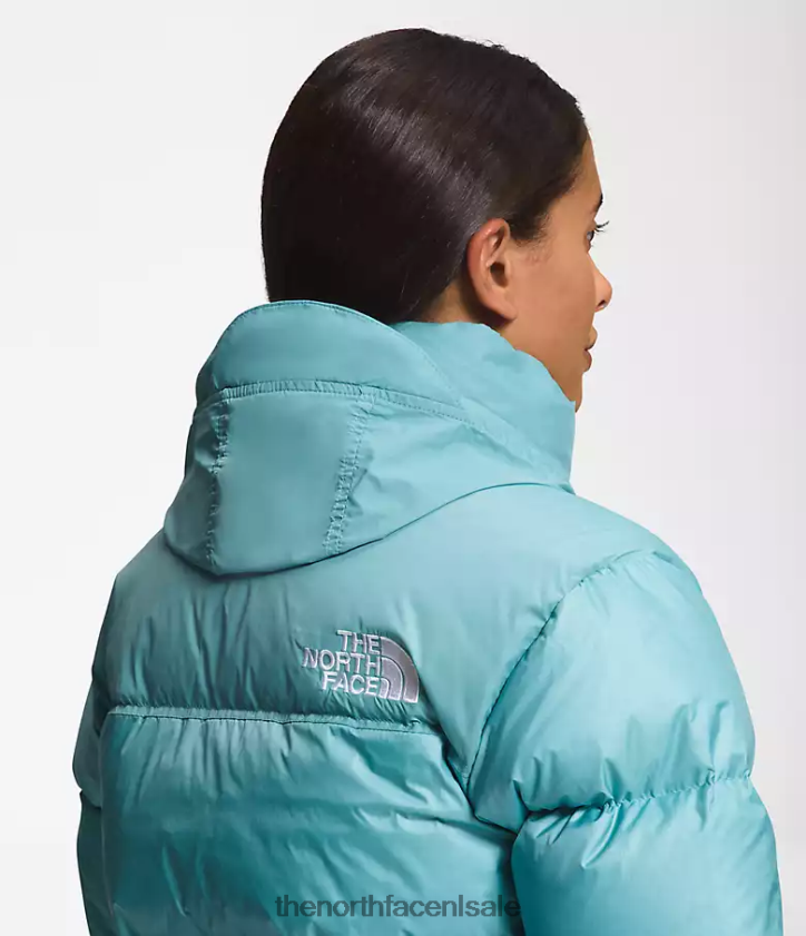 vrouwen Retro nuptse jasje uit 1996 The North Face P464ZN730 kleding rifwateren