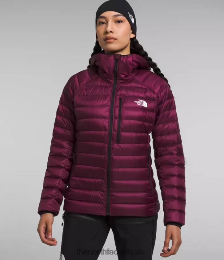 vrouwen Summit-serie Breithorn hoodie The North Face P464ZN668 kleding jongensbes