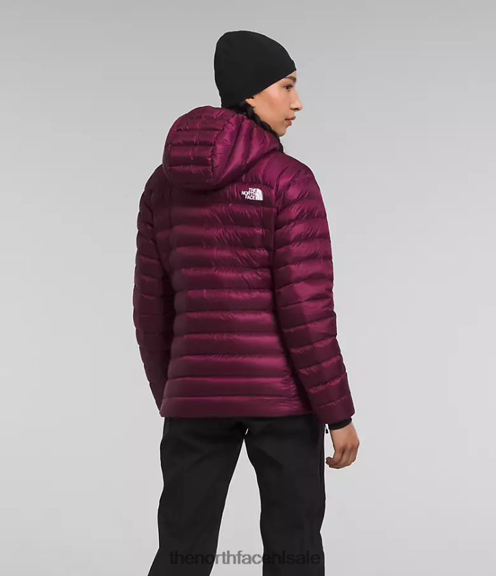 vrouwen Summit-serie Breithorn hoodie The North Face P464ZN668 kleding jongensbes