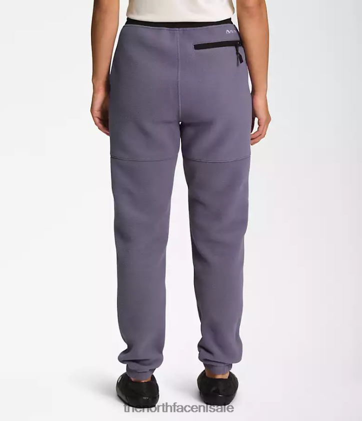 vrouwen denali broek The North Face P464ZN943 kleding maan leisteen