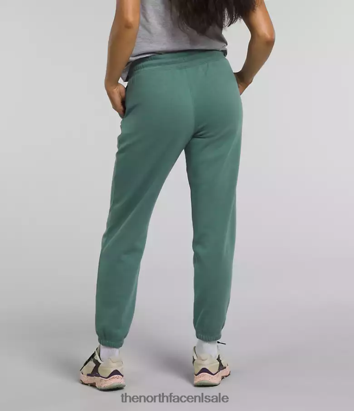 vrouwen fleece joggingbroek met halve koepel The North Face P464ZN976 kleding donker salie/tnf wit