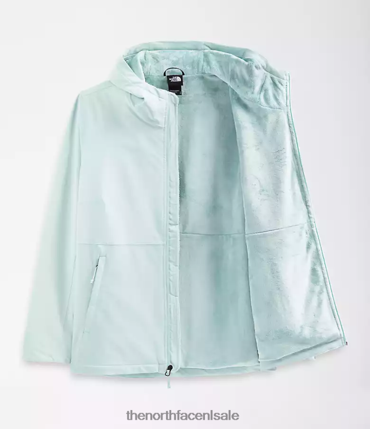 vrouwen plus Shelbe Raschel-hoodie The North Face P464ZN1178 kleding dakraam blauw